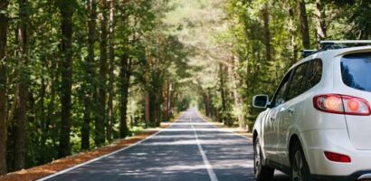 White SUV driving through a forest road