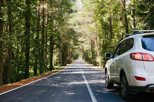 White SUV driving through a forest road
